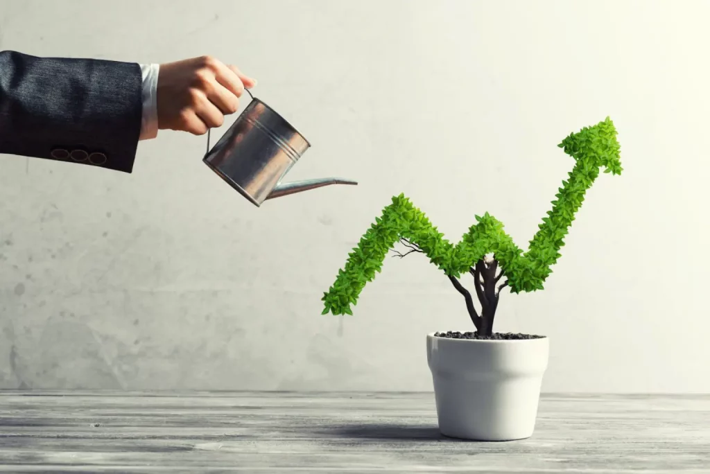 Devenir Business Developer, quelles études ?