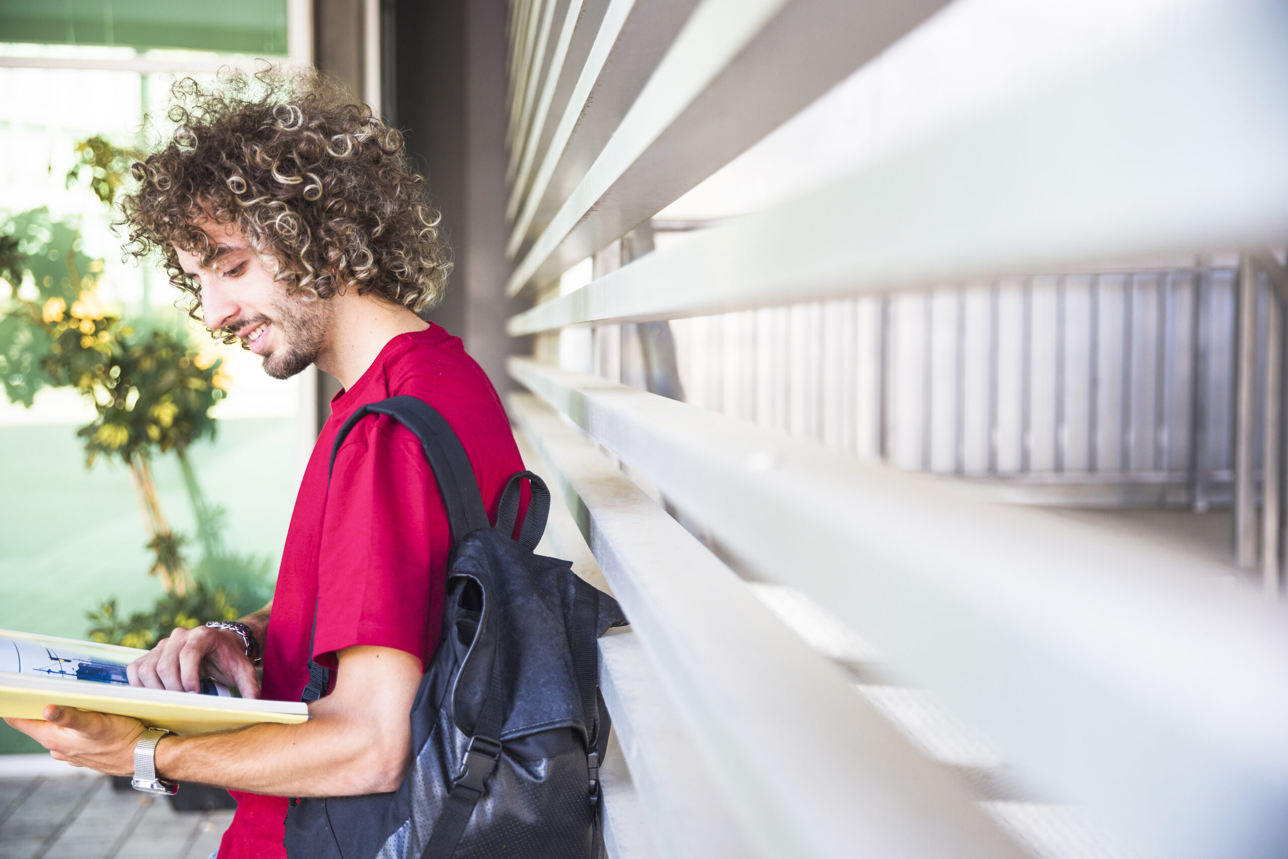 Bachelor Responsable de la Performance et du Management Commercial